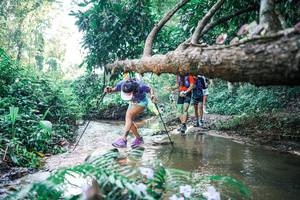 BIB: 
                            <button type="button" onclick="openModal(25439211)" class="btn btn-primary btn-sm float-right btn-popup" data-toggle="modal" data-target=".modal-high-quality">
                        <i class="fas fa-shopping-cart"></i> Add to Cart
                    </button>
                                            <button type="button" onclick="isThisMe(25439211, true)" class="btn btn-success btn-sm float-right btn-popup btn-isme hidden" data-toggle="tooltip" data-placement="bottom" title="นี่คือรูปของคุณใช่ไหม คลิกที่นี่เพื่อเอาเข้าอัลบั้ม">
                        <i class="fas fa-plus"></i> Add to album
                    </button>
                    <button type="button" onclick="isThisMe(25439211, false)" class="btn btn-warning btn-sm float-right btn-popup btn-isnotme hidden">
                        <i class="fas fa-ban"></i> Remove from album
                    </button>